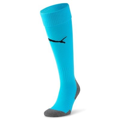 Team LIGA Socks CORE